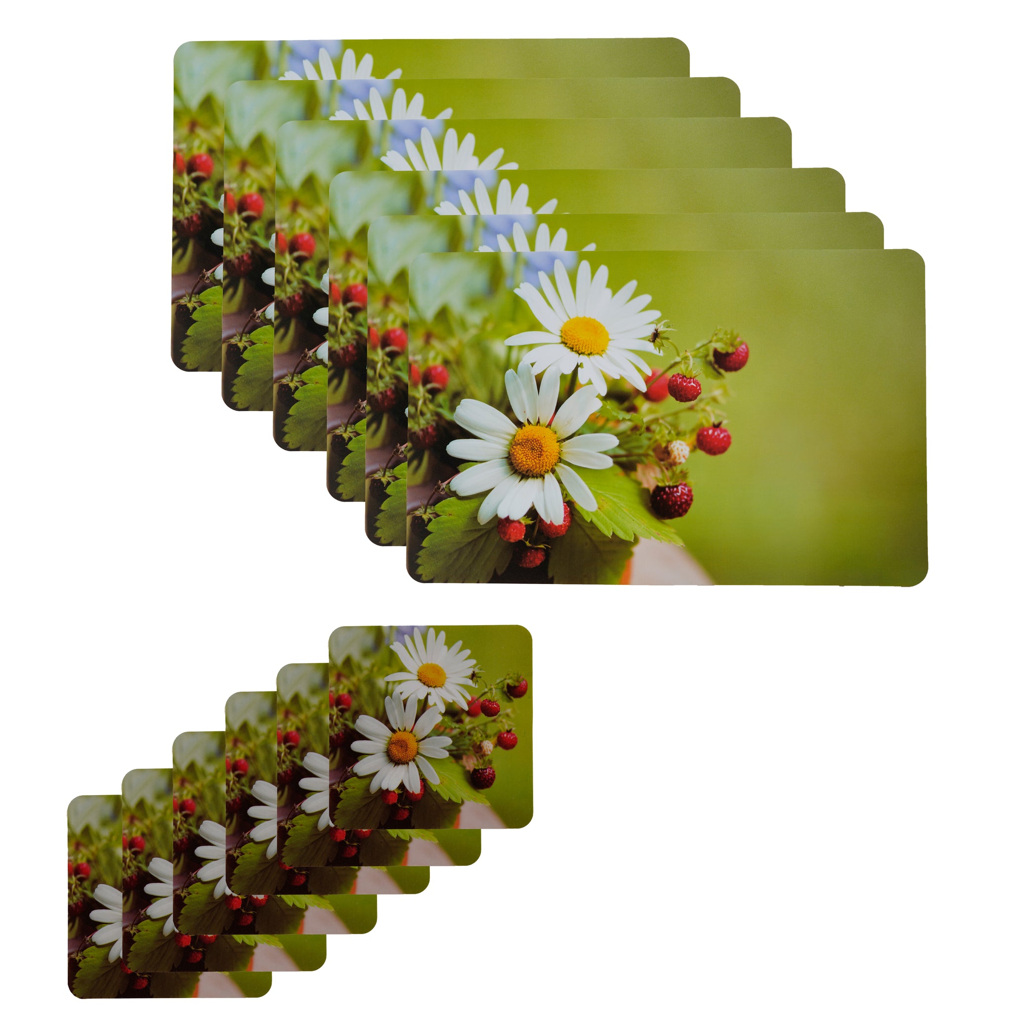 Latest Table Mats Pack of 6 with Coasters, Light Green (TORO, White Flower)