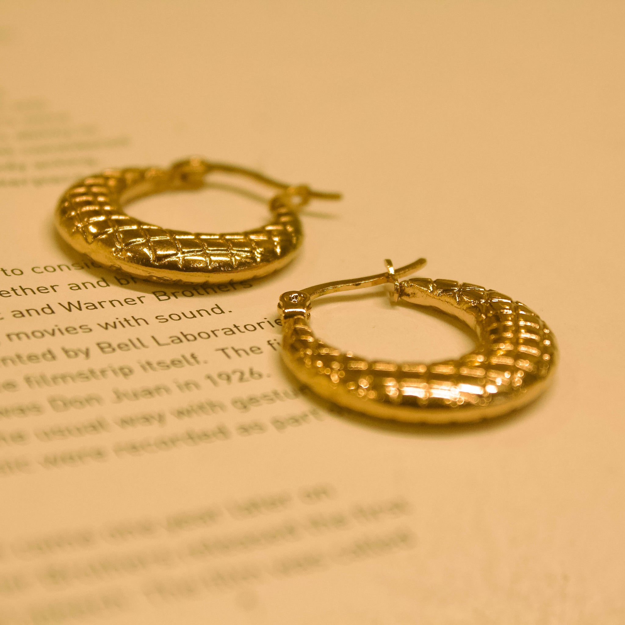 Gold Fish Loop Earrings